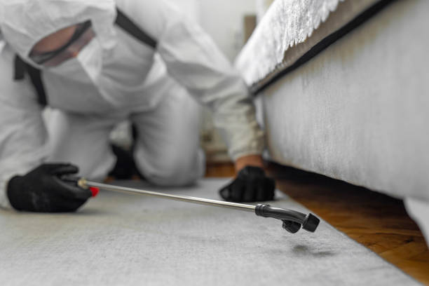 Professional Bed Bug Control technician working in Flowery Branch, GA