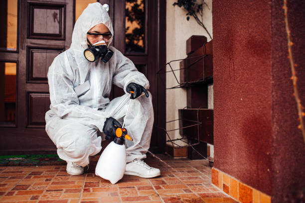 Reliable Bed Bug Control contractor in Flowery Branch, GA by Nex Pest Control