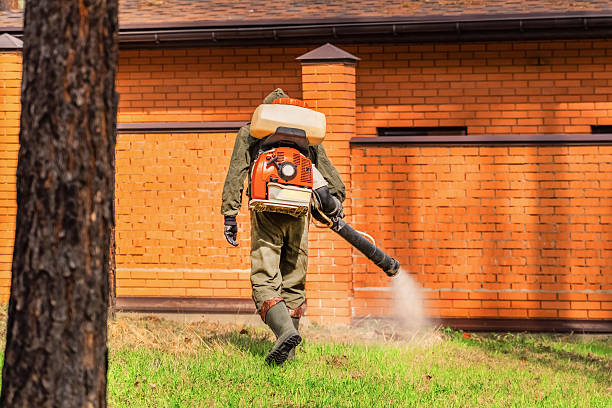 Trusted Emergency Pest Control service in Flowery Branch, GA - Nex Pest Control